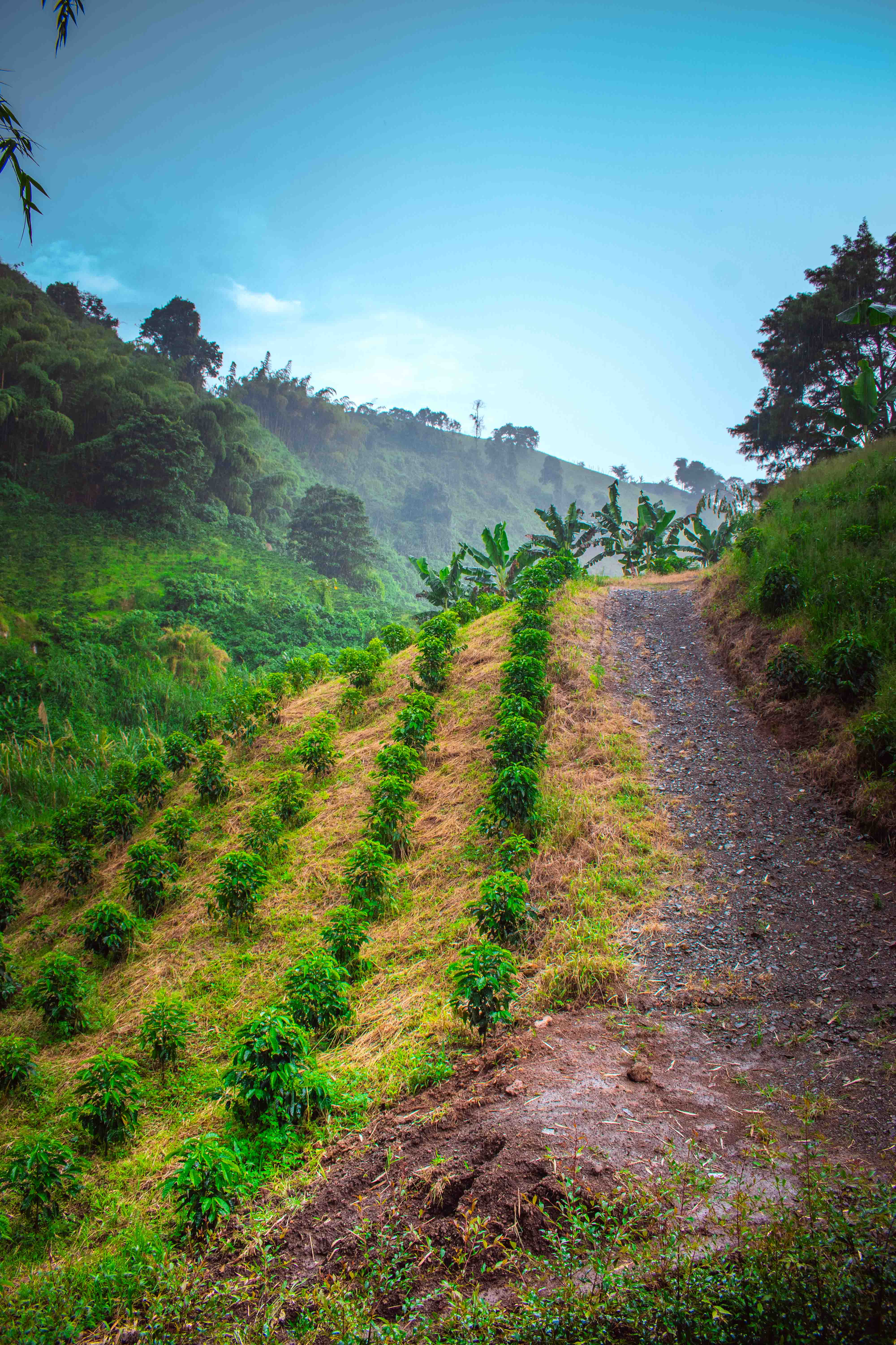 Fotografía profesional — Juandagoh, Colombia