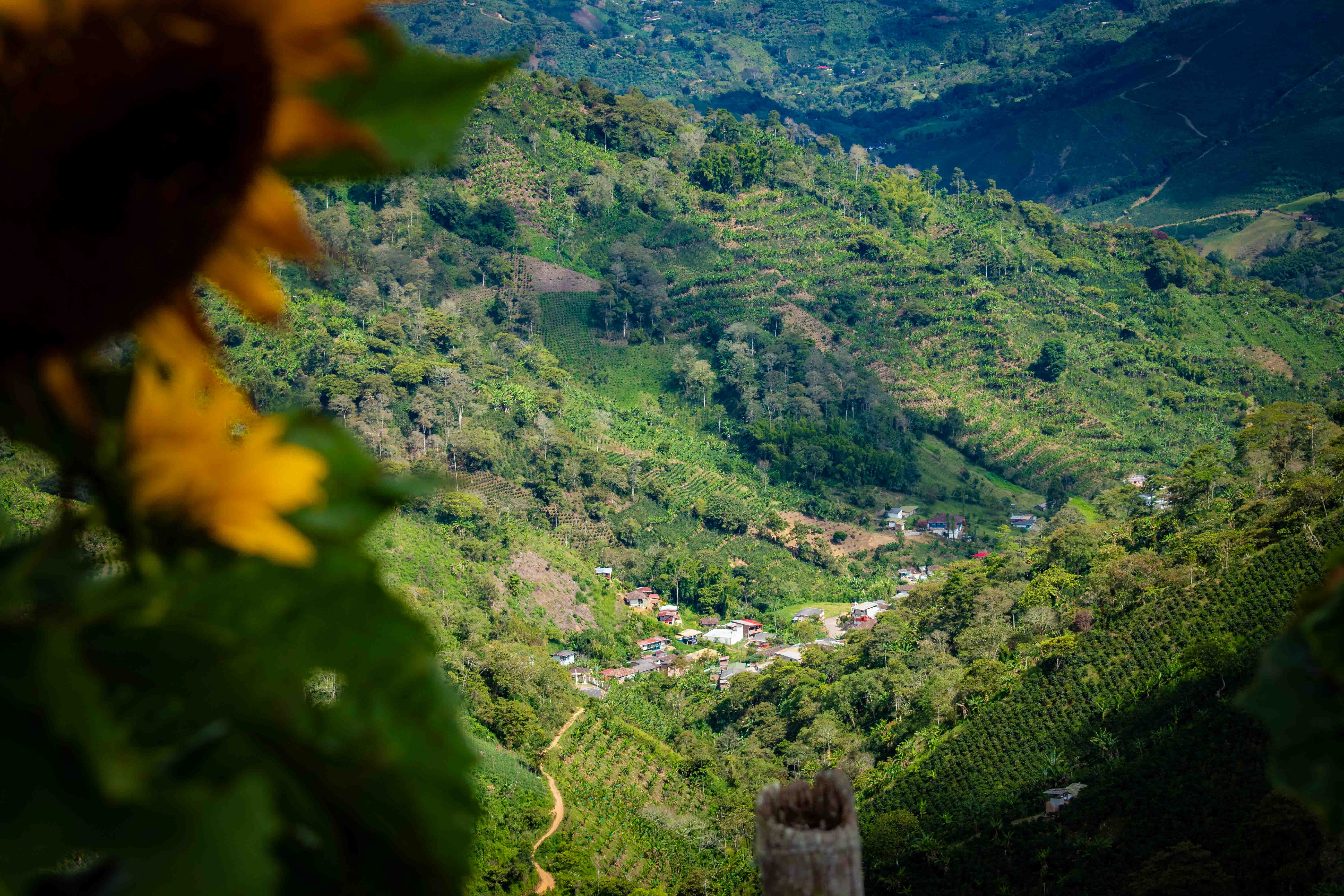 Fotografía profesional — Juandagoh, Colombia